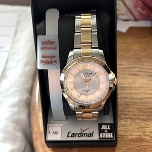 Brand new solar Cardinal watches